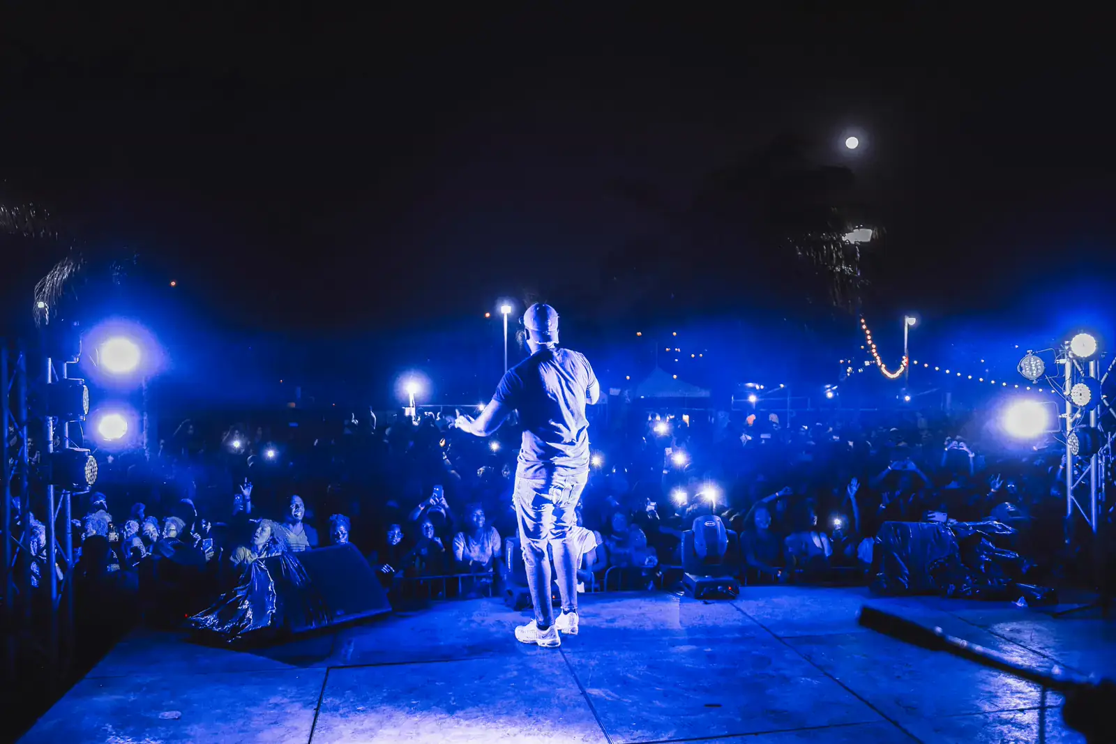 Artist performing with crowd visible